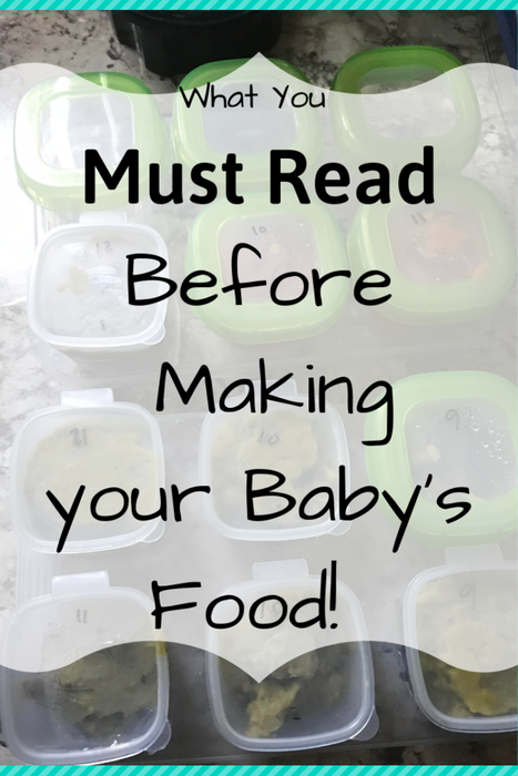Why You Should Make Your Baby's Food, thetrefftribe, thekentkrew, thekentkrew.com, thekentkrew.com/momsohard, AmyKent, LaTayiaTreff